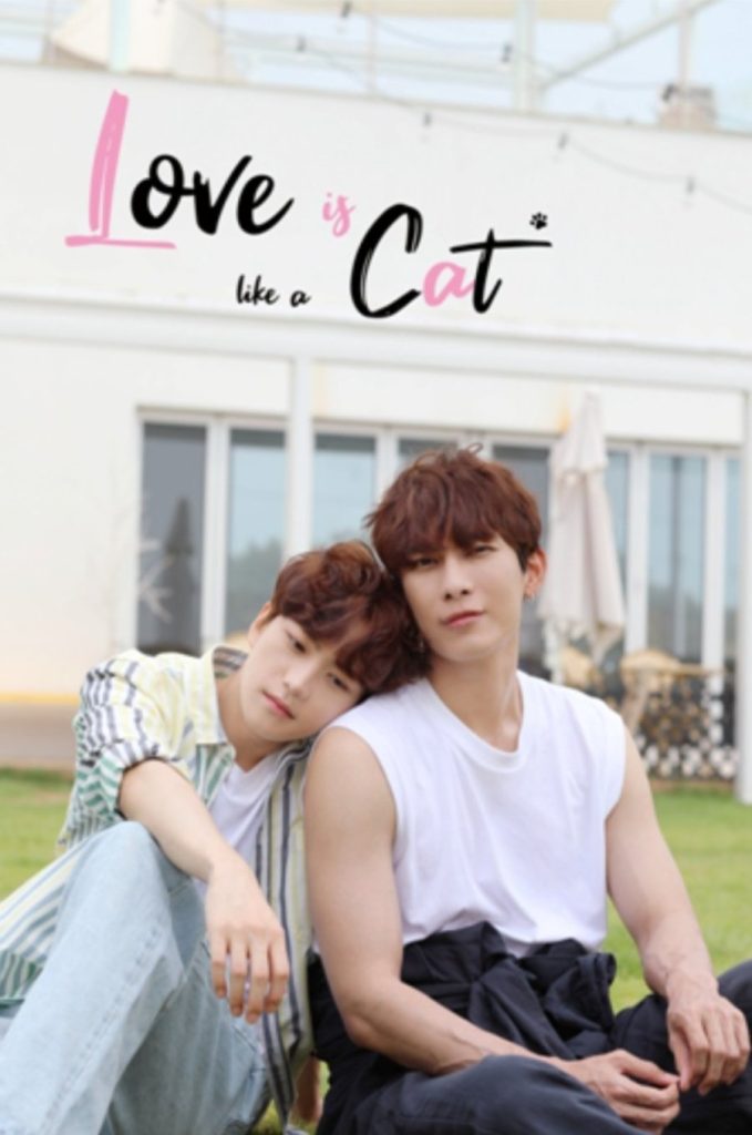 Love Is like a Cat