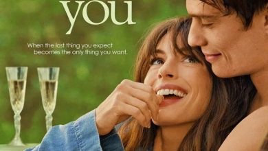 The Idea of You (2024)