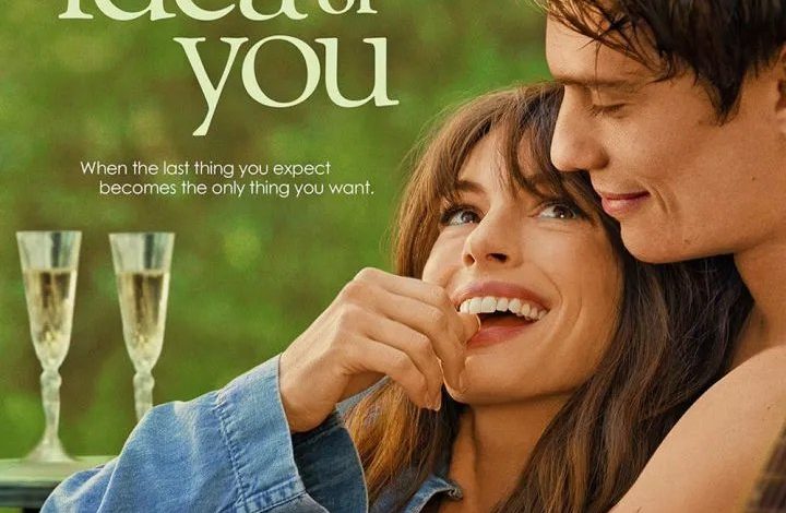 The Idea of You (2024)