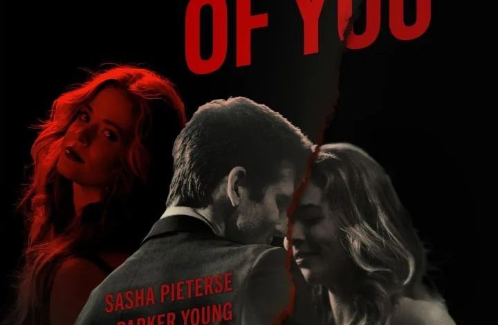 The Image of You (2024)
