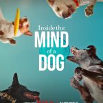 Inside the Mind of a Dog (2024) Movie Download