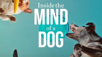 Inside the Mind of a Dog (2024) Movie Download