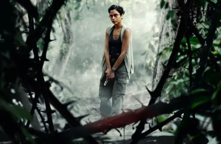 Borderless Fog (2024) Movie Download