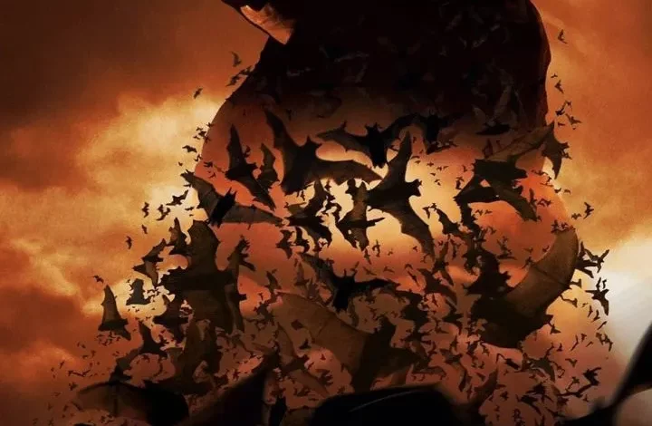 Batman Begins (2005)