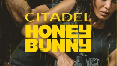 Citadel: Honey Bunny