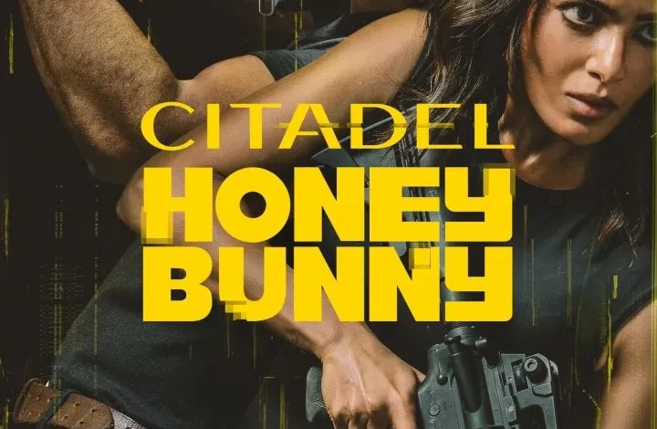 Citadel: Honey Bunny