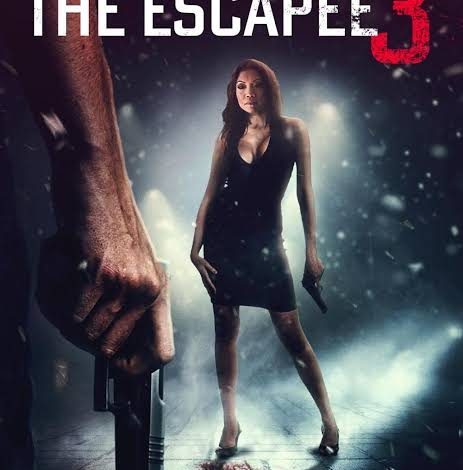 The Escapee 3 The Final Escape (2024)