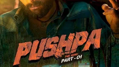 Pushpa The Rise - Part 1 (2021)