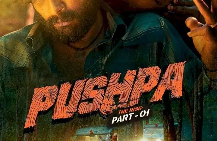 Pushpa The Rise - Part 1 (2021)