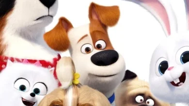 The Secret Life of Pets 2 (2019)