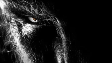The Wolfman (2010)